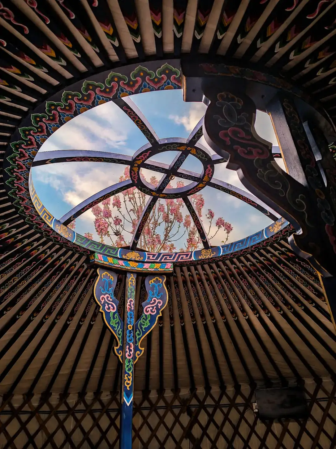 La corona de la Yurta Cielo vista desde abajo: el aro pintado a mano, el óculo de cristal y las ramas del cerezo en flor recortadas contra el cielo