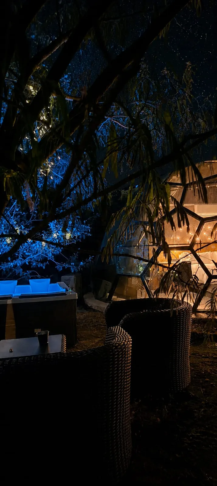 El Sky Dome de noche visto entre las ramas de un árbol, con los sillones de mimbre de la terraza en primer plano y el jacuzzi encendido en azul a la izquierda