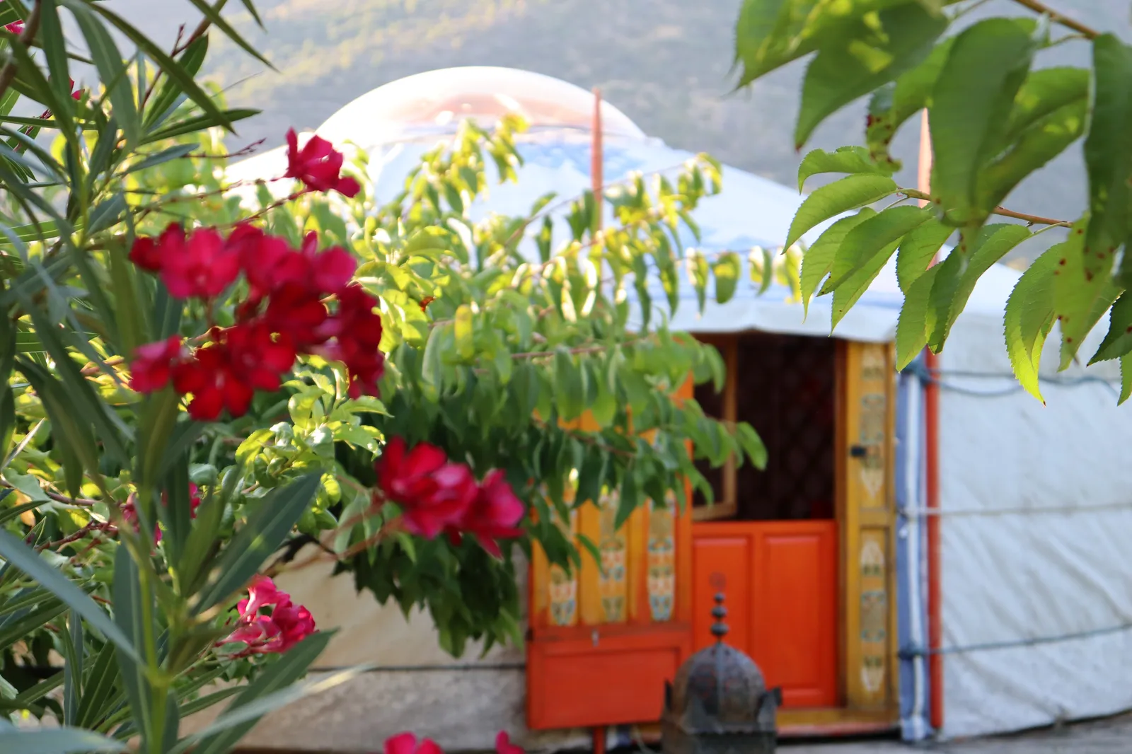 La Yurta Fuego vista entre las ramas del jardín, con su puerta naranja abierta y adelfas rojas en primer plano